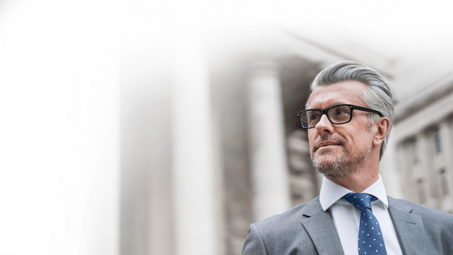 Public sector champion of modern federal, state, and local government IT and services